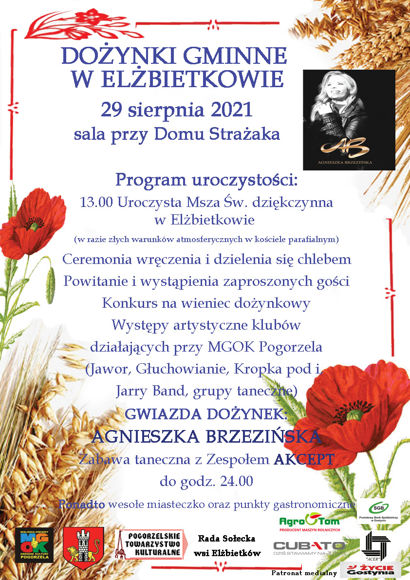 Read more about the article DOŻYNKI GMINNE W ELŻBIETKOWIE