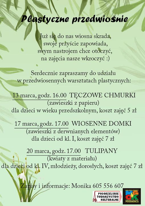 Read more about the article PLASTYCZNE PRZEDWIOŚNIE